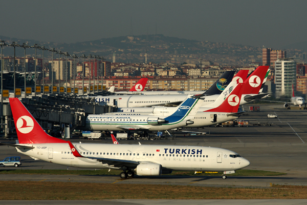TURKISH AIRLINES BOEING 737 800 IST RF IMG_5124.jpg
