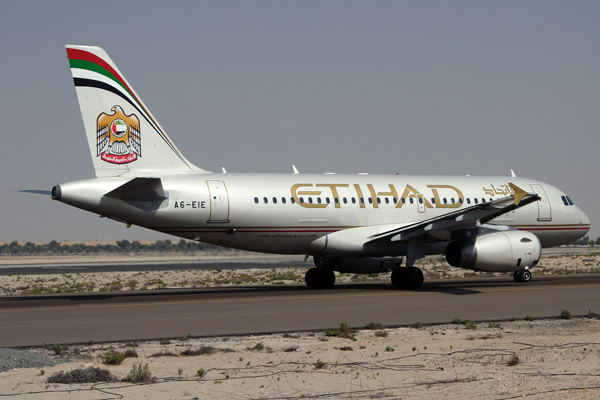 ETIHAD AIRBUS A319 AUH RF IMG_9806.jpg