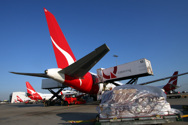 QANTAS AIRCRAFT SYD RF IMG_6023.jpg