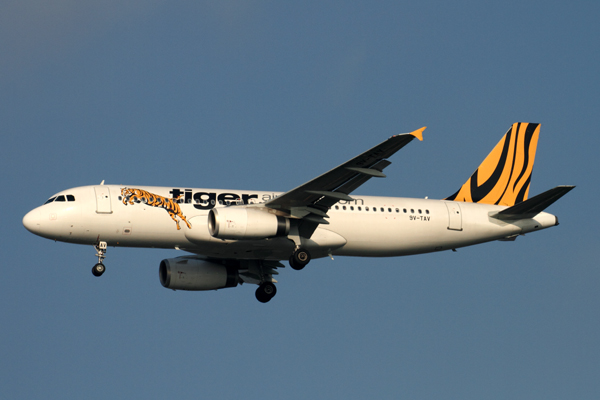 TIGER AIRBUS A320 BKK RF IMG_2596.jpg