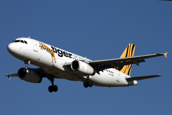 TIGER AIRWAYS AIRBUS A320 MEL RF IMG_8005.jpg