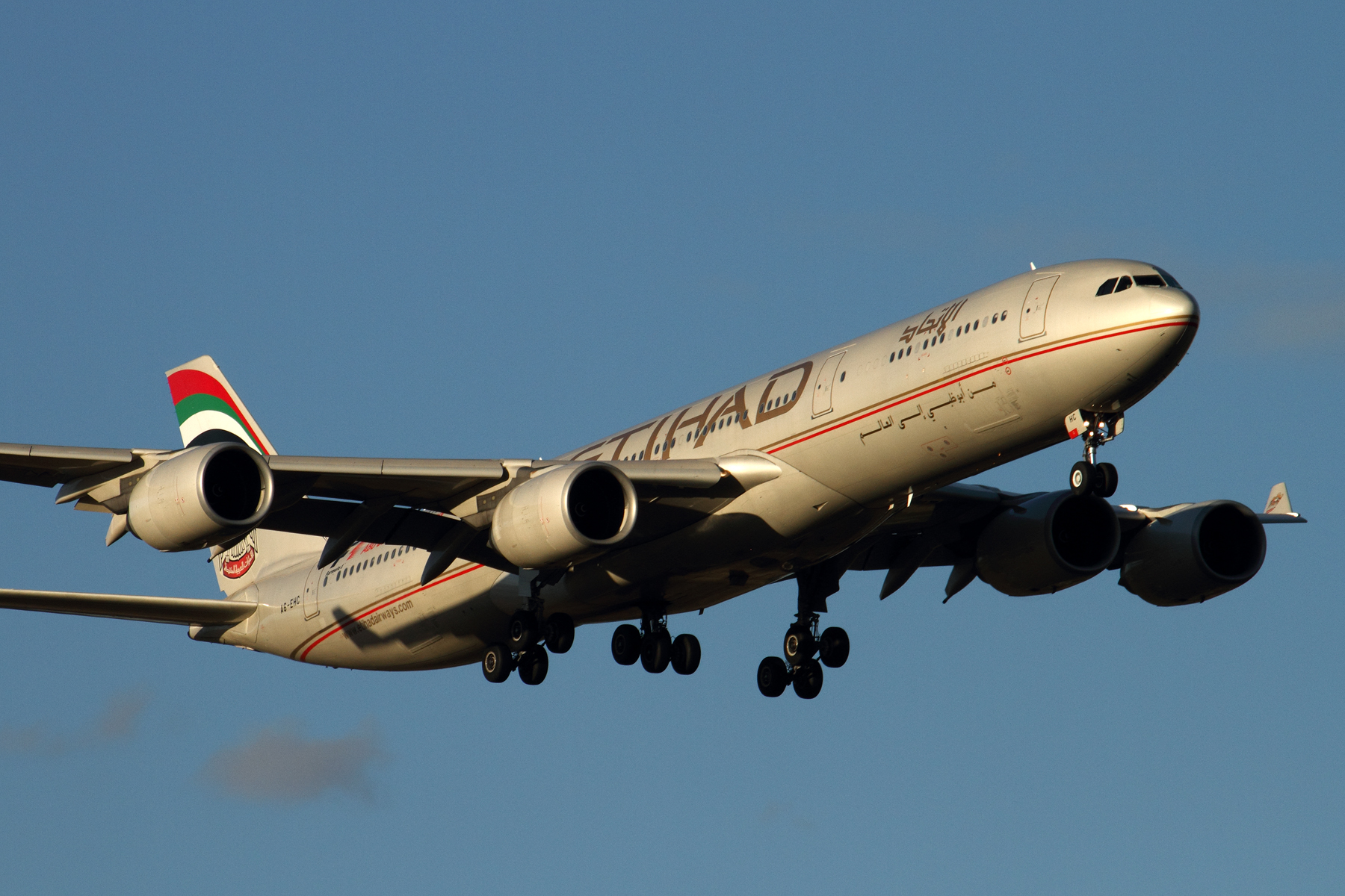 ETIHAD AIRBUS A340 500 MEL RF IMG_8689.jpg