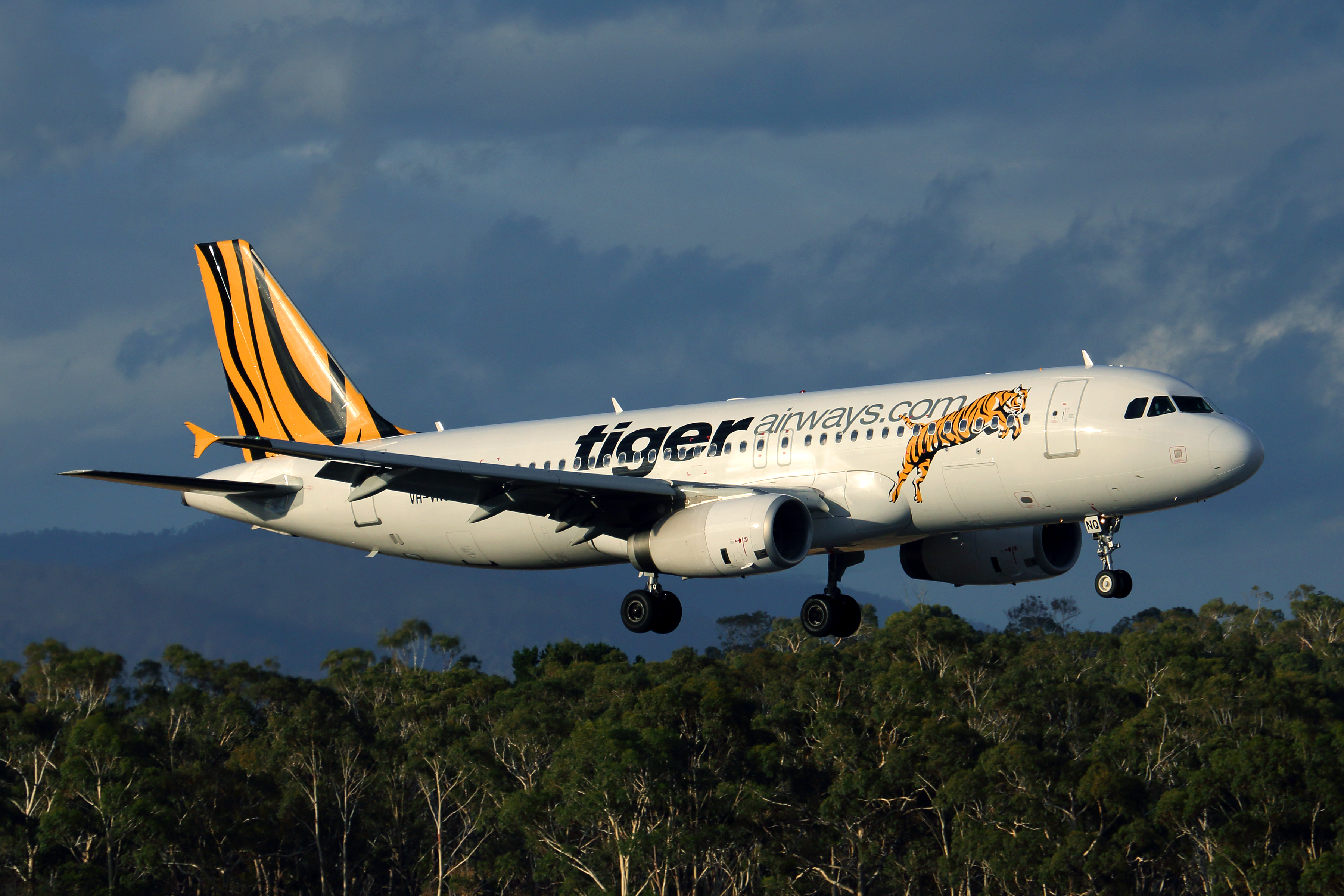 TIGER AIRWAYS AIRBUS A320 HBA RF 5K5A8664.jpg