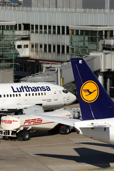 LUFTHANSA AIRCRAFT  DUS RF IMG 2330.jpg