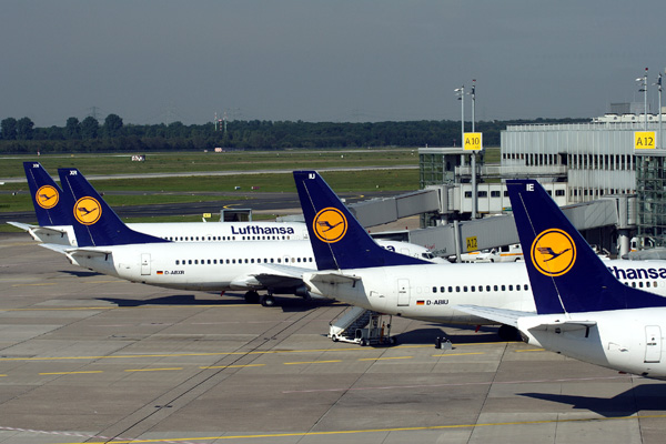 LUFTHANSA TAILS DUS RF IMG_2332.jpg