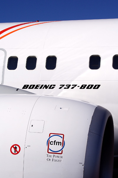 BOEING 737 800 RF IMG_1489.jpg