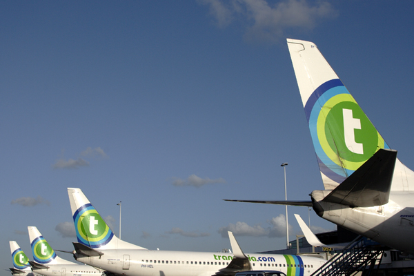 TRANSAVIA TAILS AMS RF IMG_2631.jpg