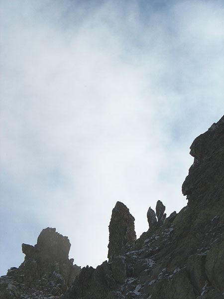 kalli0325w.jpg