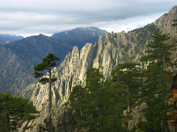 kalli0410w.jpg
