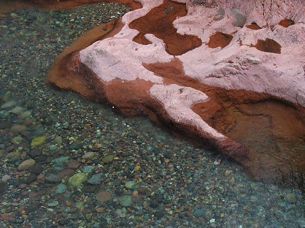 kalli0560w.jpg