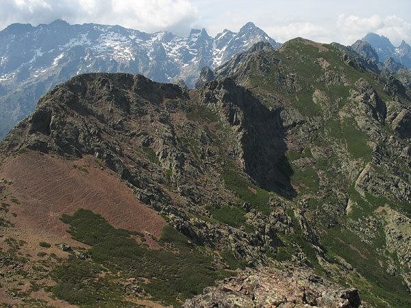 kalli0795w.jpg