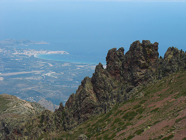 kalli0835w.jpg