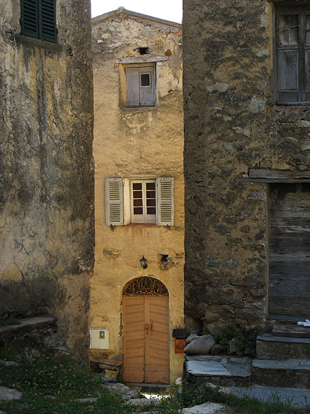 kalli0900w.jpg