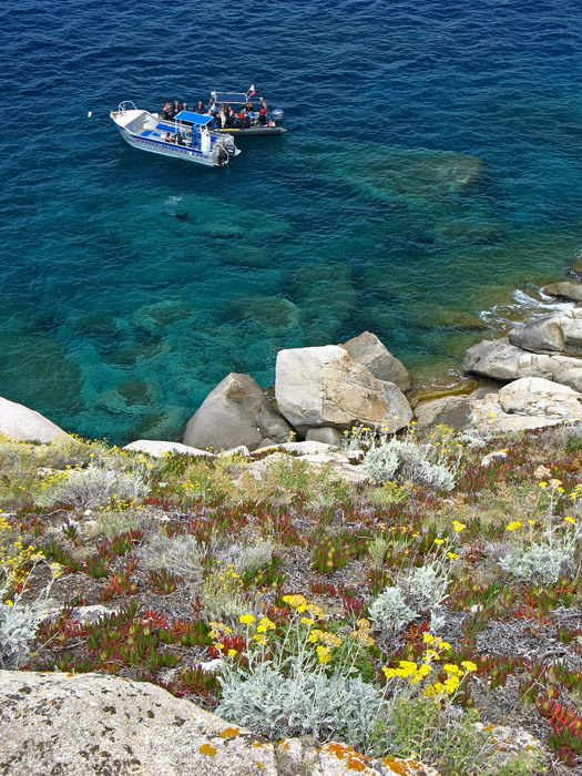kalli0950.jpg