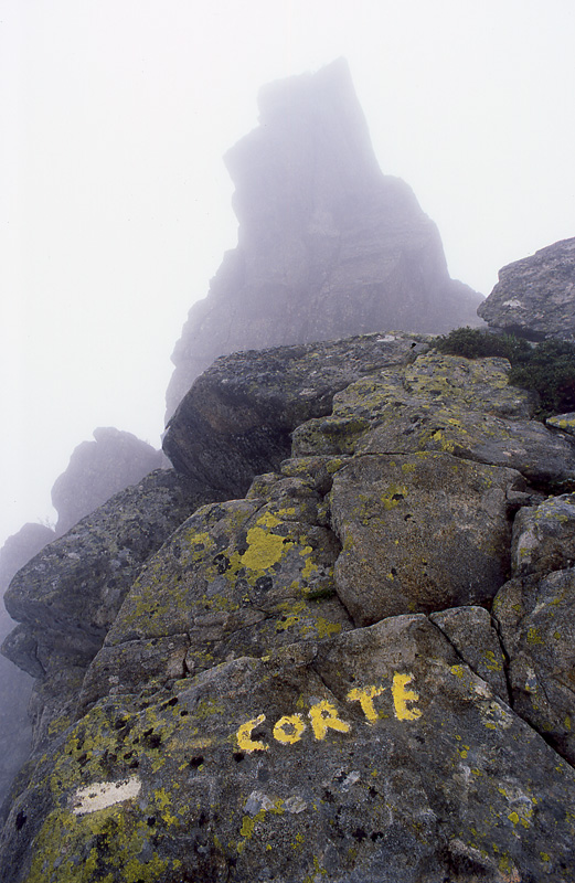 img111w.jpg
