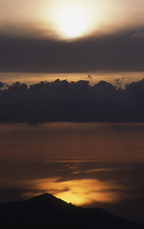 img125w.jpg