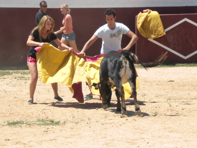 Erin the Bull Fighter.jpg
