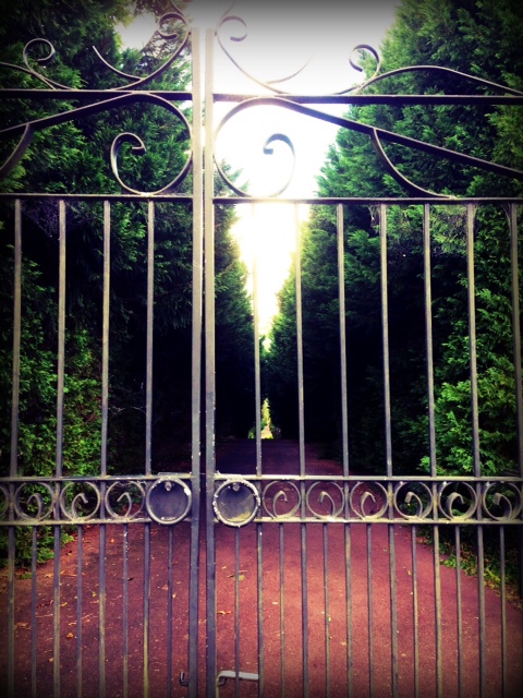 beyond the gates