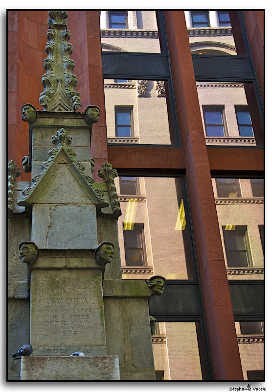 Reflections - New York University