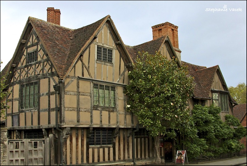 Timbered House