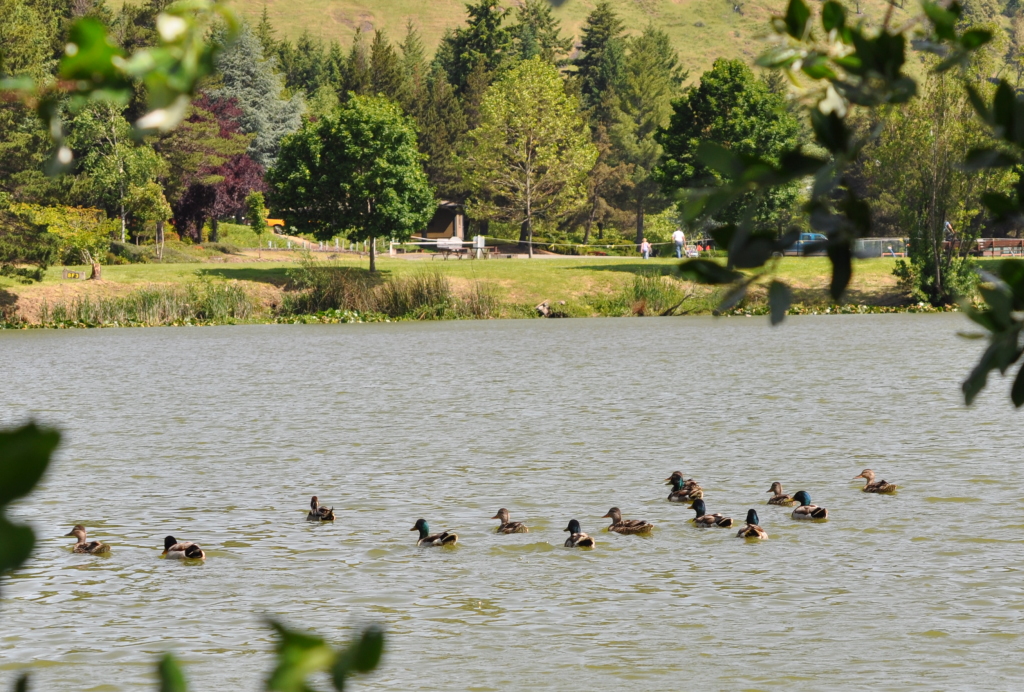 DSC_0744b.JPG
