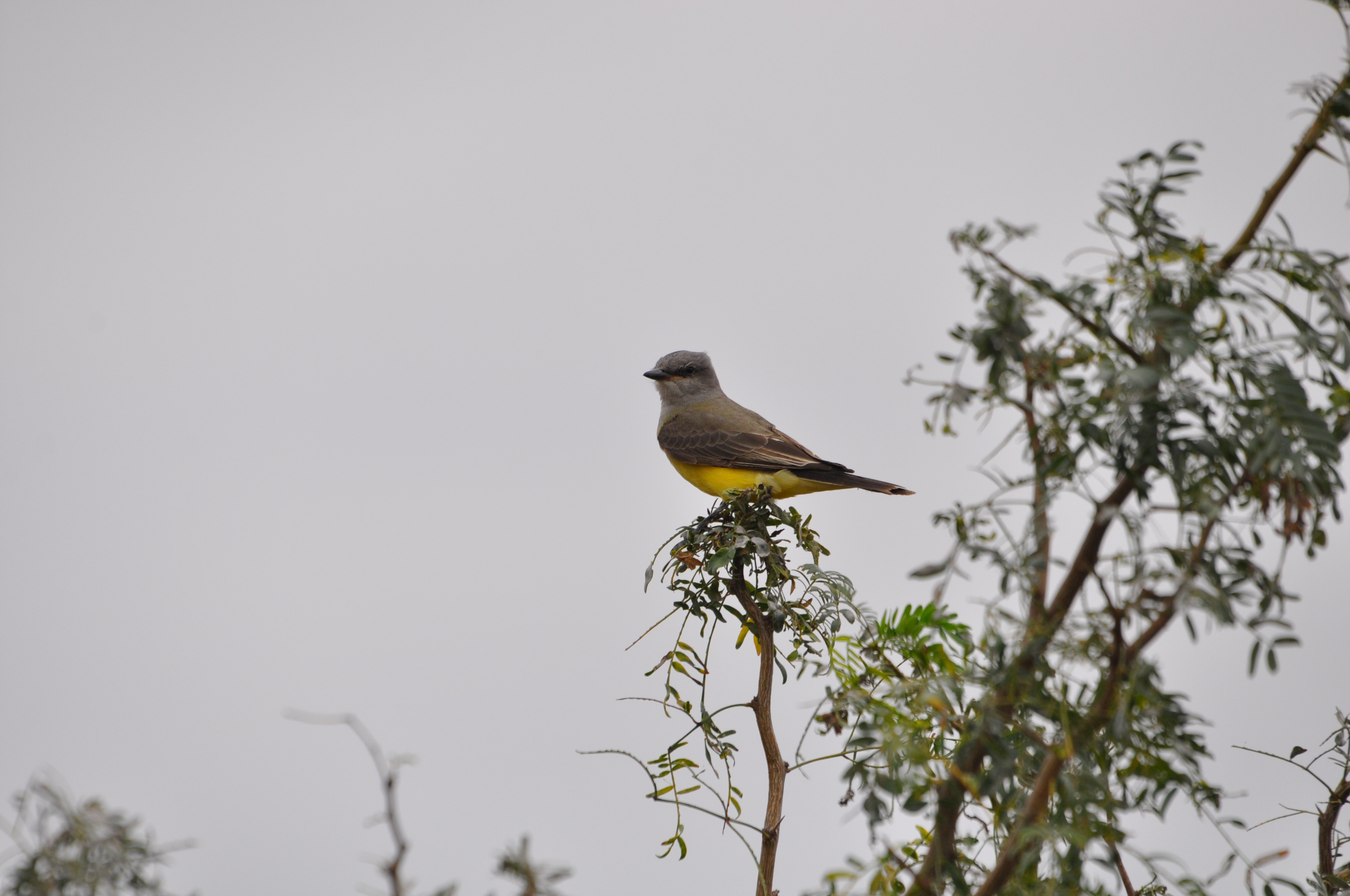 DSC_0024.JPG