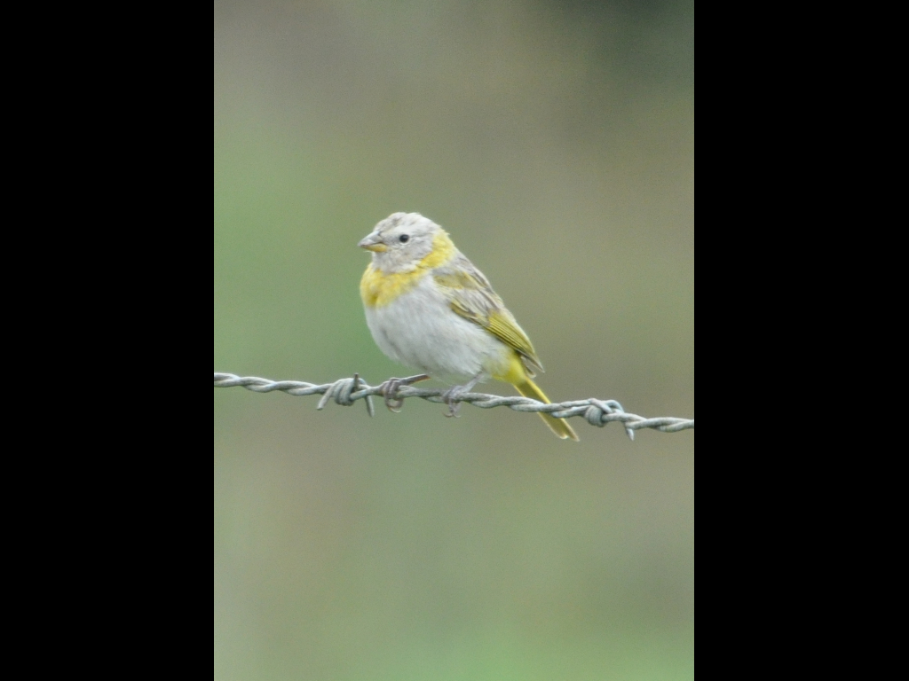 DSC_0108b.JPG