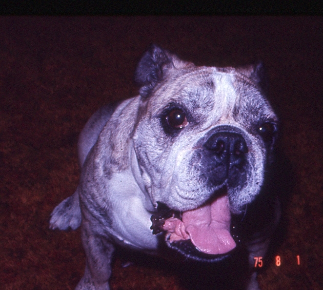 Scan008731.jpg