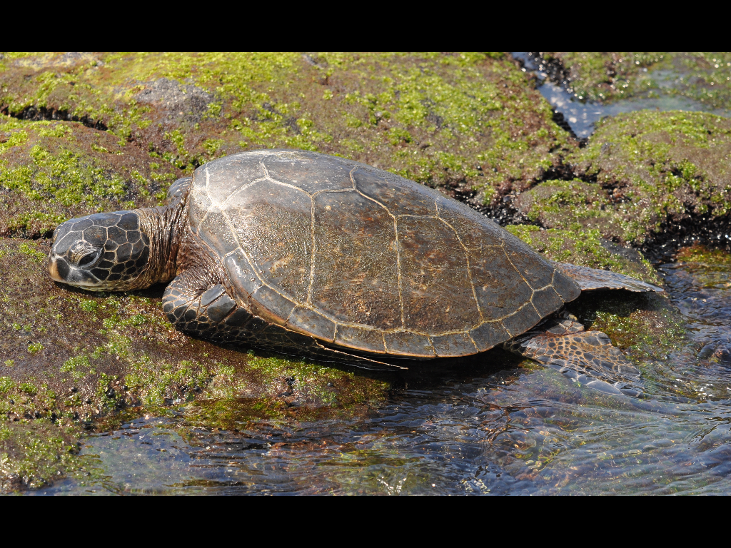 DSC_0069r.JPG