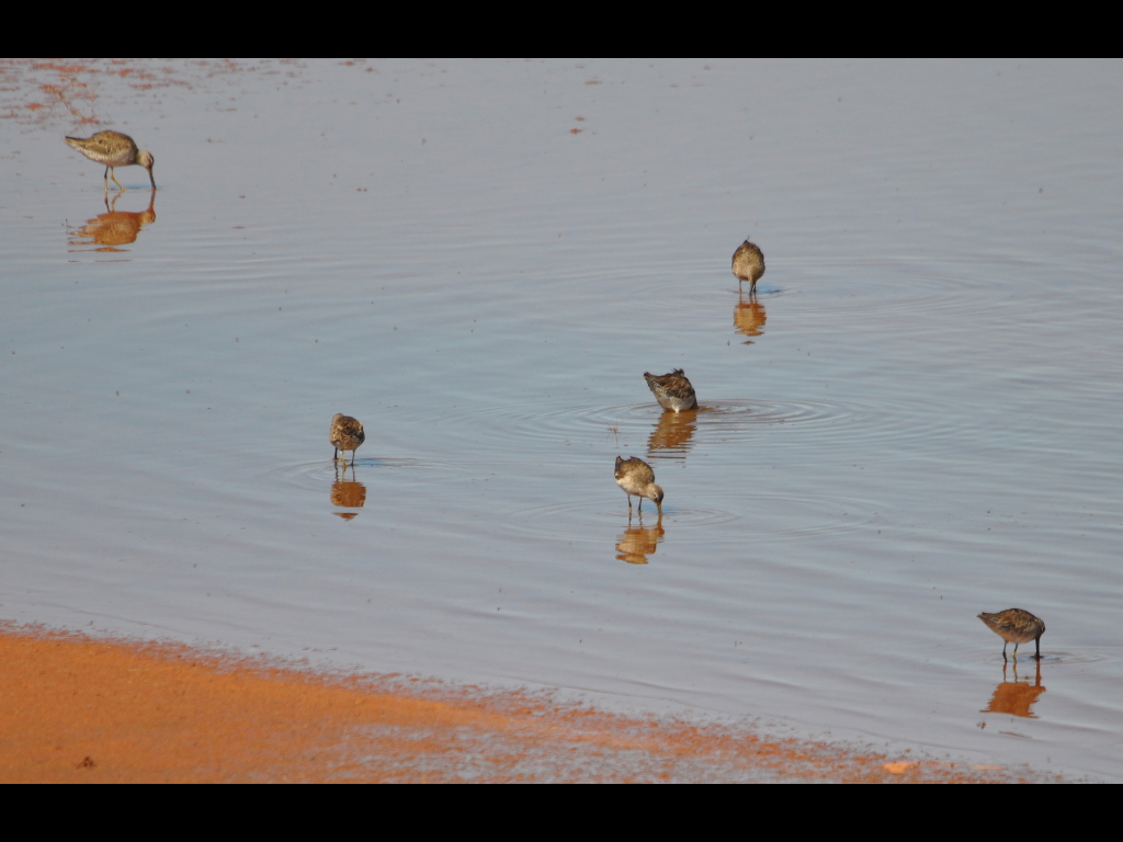 DSC_0254b.JPG