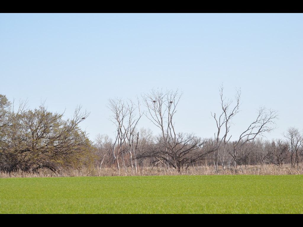 DSC_0340b.JPG