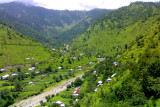 palandri