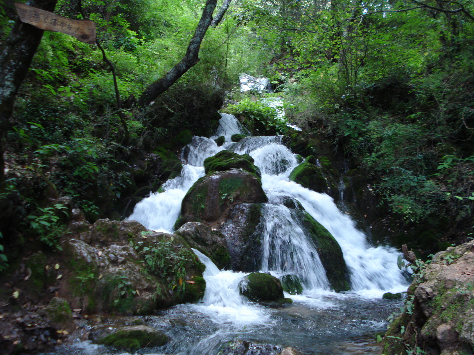 DSC01758.JPG