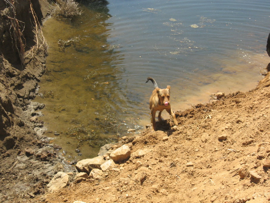 Dick enjoying the lake