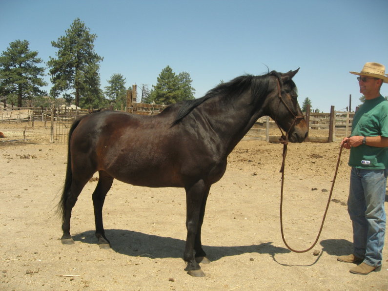 Siete Leguas