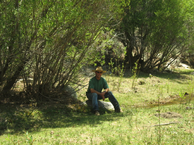 cool in the shade