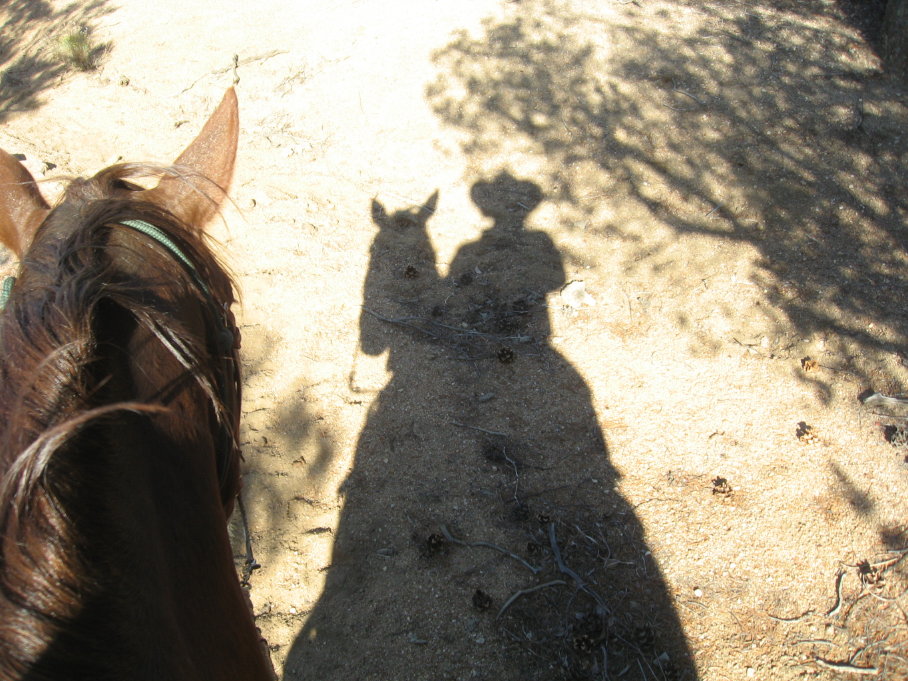Shadow riding