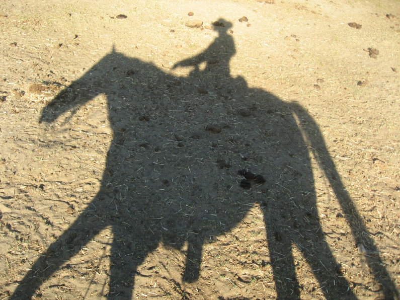 Self Portrait of J & Mojave