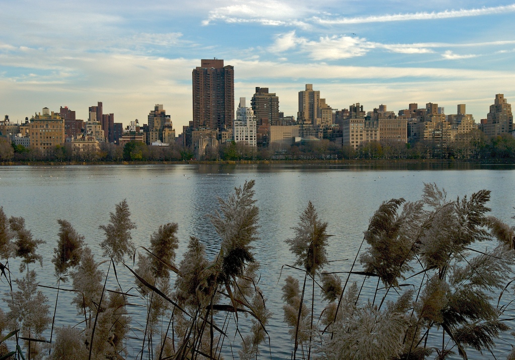 Central Park Reservoir -2.jpg