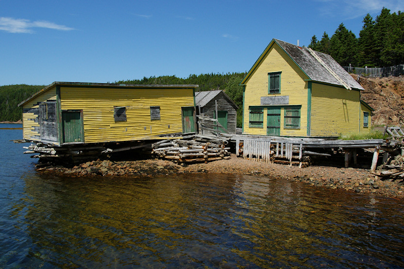 Botwood Area Jul-08 065