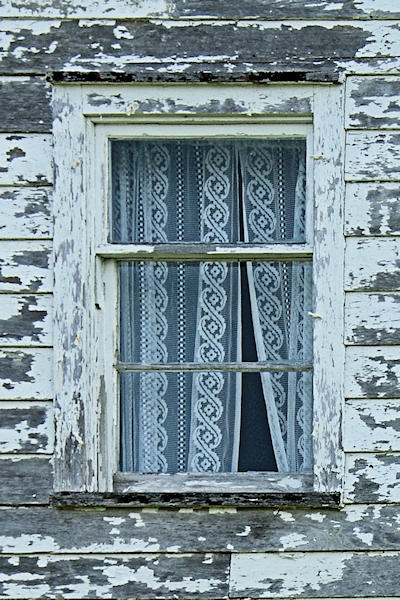 Botwood Area Jul-08 011 Window 1