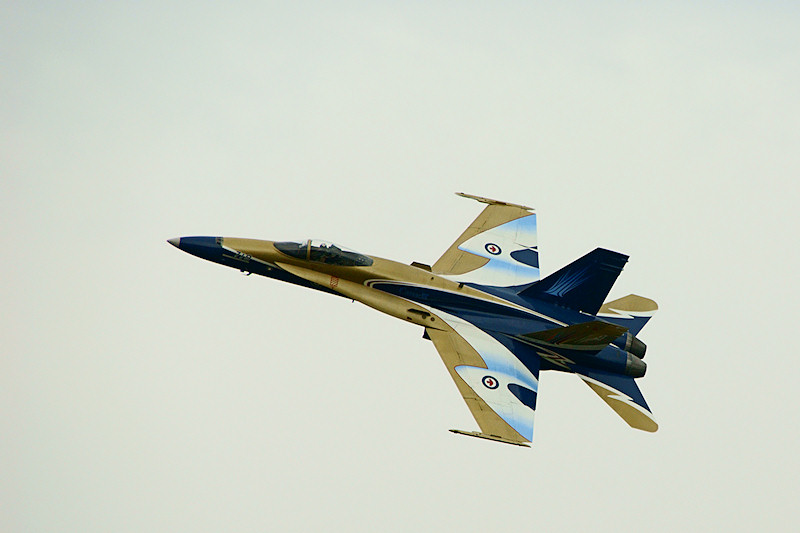 DSC05155 - CF-18 (Hornet)