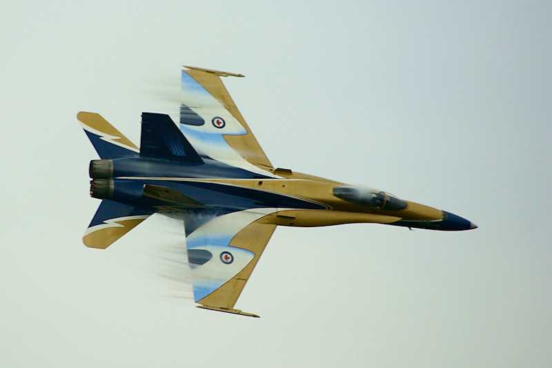DSC05152 - CF-18 (Hornet)