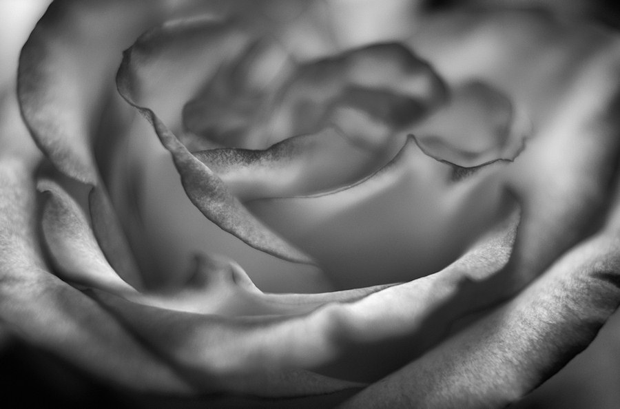 DSC004761 - Sans Couleur