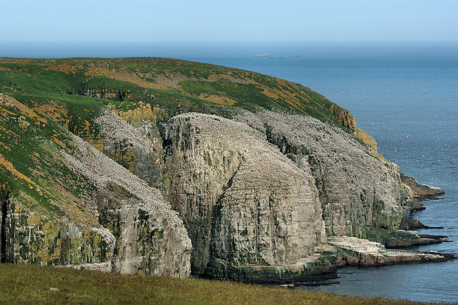 _DSC1638 - The Bird Rocks