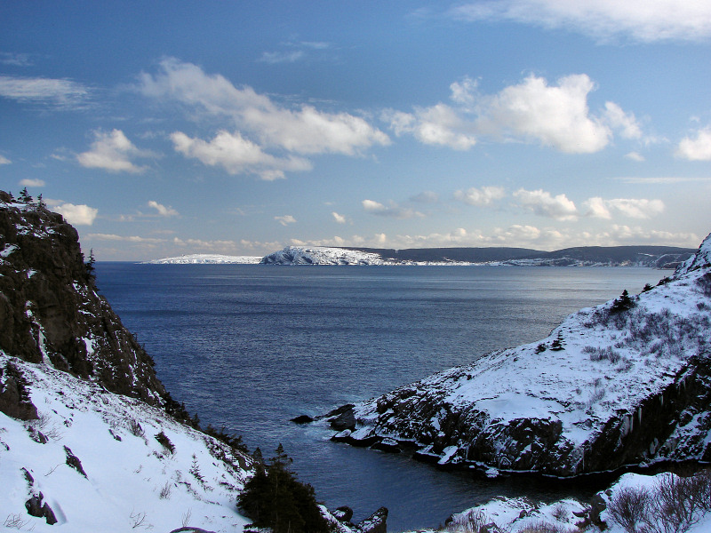 Cape Spear 005