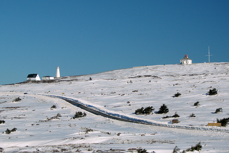 Cape Spear 016