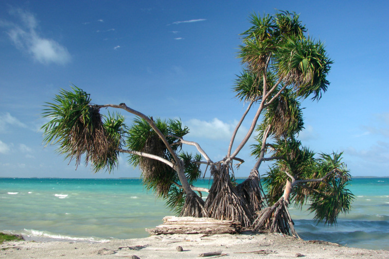 Fanning Island