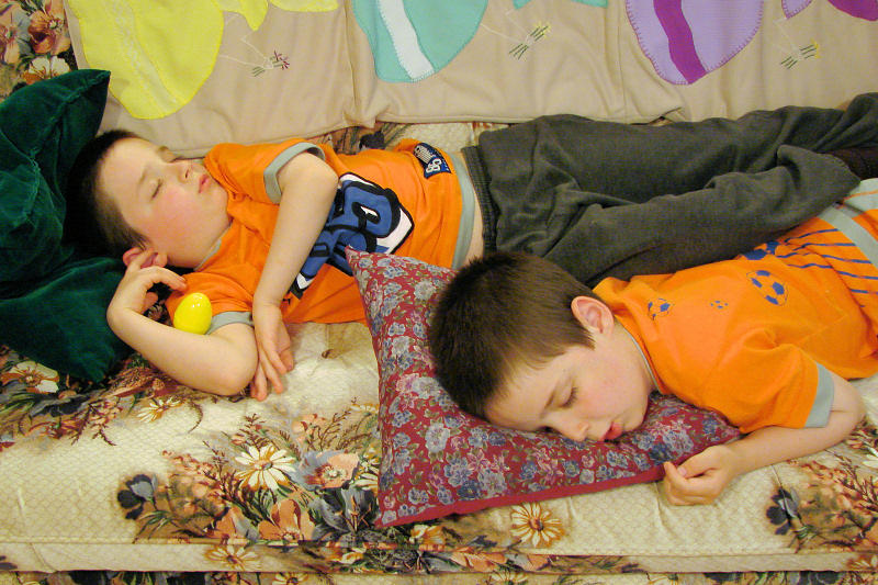 Sleeping Twins 004