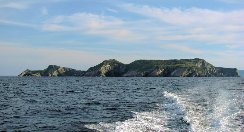 Witless Bay Bird Island Trip 233Leaving Green Island